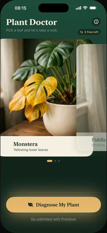 Fernly, a plant doctor app built with Orchard that diagnoses a plant from a photo